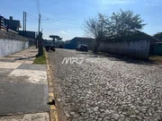 <strong>Terreno - Nova Russia - Rua Couto Magalhães</strong>