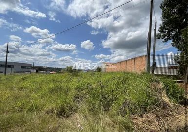 Terreno -  Bairro Piriquitos
