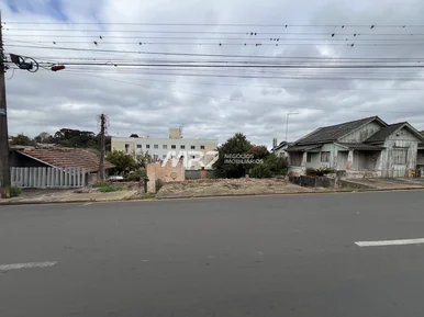 Terreno - Rua Padre Nobrega - Vila Estrela