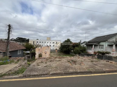 Terreno - Rua Padre Nobrega - Vila Estrela
