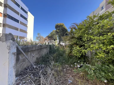 Terreno - Rua Freire Alemão - Vila Estrela