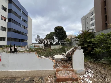 Terreno - Rua Freire Alemão - Vila Estrela