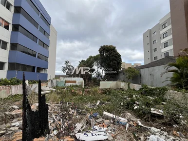 Terreno - Rua Freire Alemão - Vila Estrela