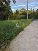 Terreno Condomínio Van Wilpe - Jardim Carvalho - Foto 6