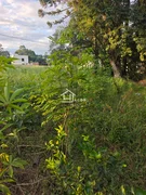 Terreno Condomínio Van Wilpe - Jardim Carvalho - Foto 4