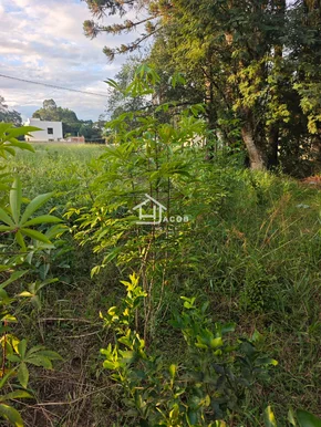 Terrenos no Condomínio Van Wilpe - Jardim Carvalho - Foto 2