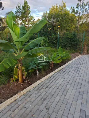 Terrenos No Condomínio Van Wilpe - Jardim Carvalho