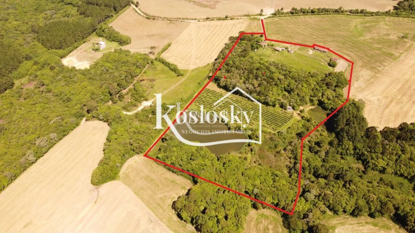 <strong>Chacara para pesque e pague com parreiral</strong>