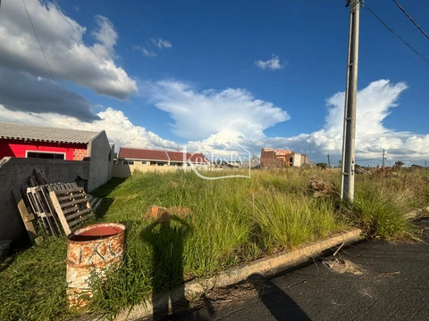 Foto Terreno