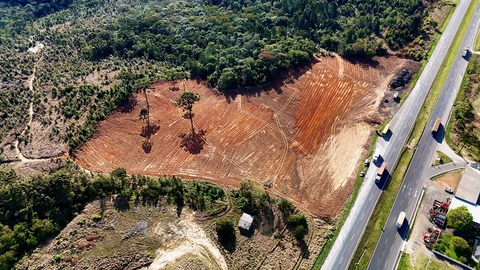 Foto Terreno