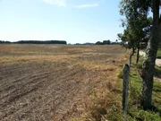 Conceito Vende Terreno na  Colonia Witmarsum - Foto 4
