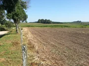 Conceito Vende Terreno na  Colonia Witmarsum - Foto 3