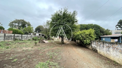 Foto Terreno
