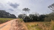 <strong>Terreno Urbano</strong> ()