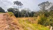 <strong>Terreno Urbano</strong> ()