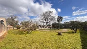 <strong>Terreno amplo - Vila Rio Branco</strong>