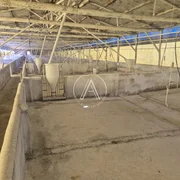 <strong>Chácara</strong> ()