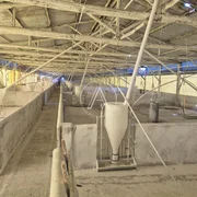 <strong>Chácara</strong> ()