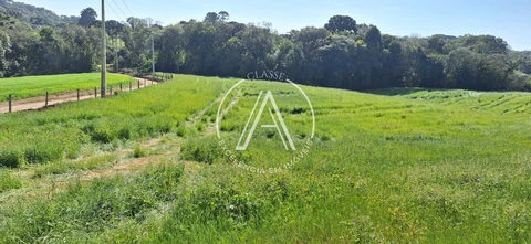 Foto Terreno