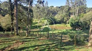 Chácara à venda no Bairro Santo Antônio com 3,30 hectares - Foto 4