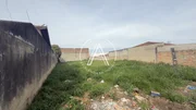 Terreno amplo - Jardim das Araucárias I - Foto 6