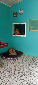 <strong>Casa à venda na Colônia Dona Luiza bairro Santa Maria</strong>