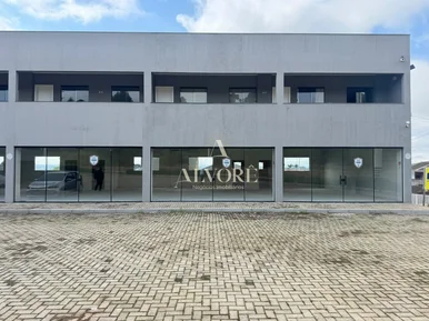 Excelente Oportunidade De Investimento! Lojas Comerciais E Apartamentos