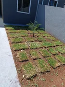 <strong>Terraliz - Uvaranas</strong>