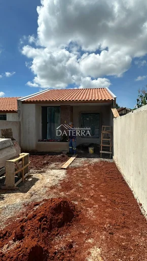 <strong>Cará-cará</strong>