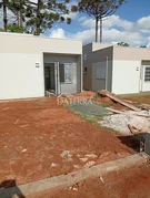 Neves - Uvaranas - Foto 5