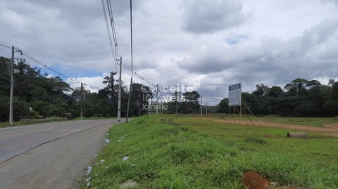 Foto Terreno
