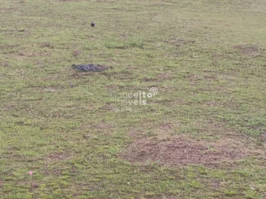 <strong>Terreno Urbano à Venda no Jarivatuba em Joinville SC</strong>