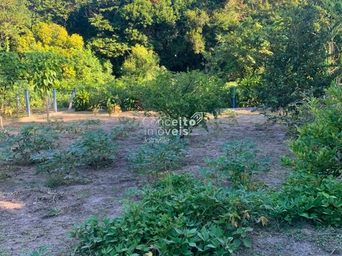 Foto Rural