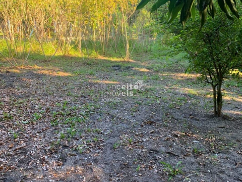 Foto Rural