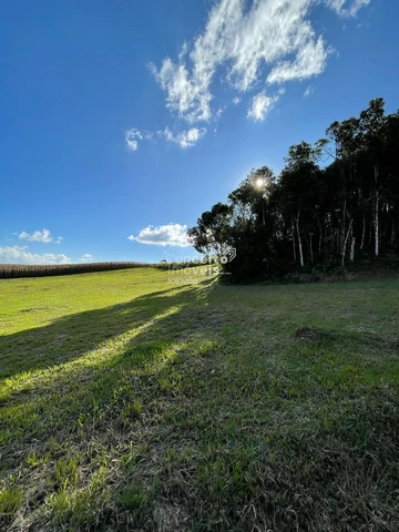 Foto Terreno