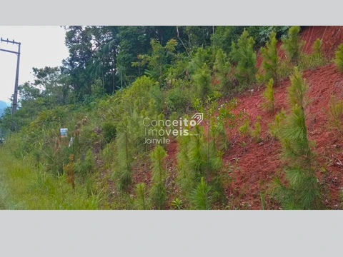 Foto Terreno