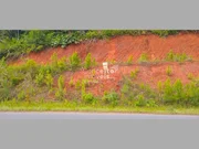 <strong>TERRENO COM 26.400m² EM JARAGUÁ DO SUL</strong>