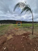 <strong>Lotes na Associação Campo Alto</strong>