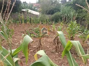 <strong>Terreno à venda na Vila Marina</strong>