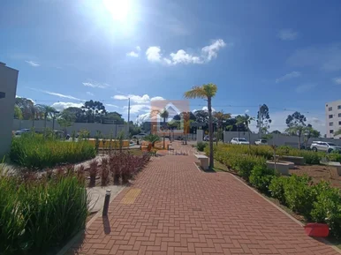 Apartamento Para Locação No Vista Uvaranas