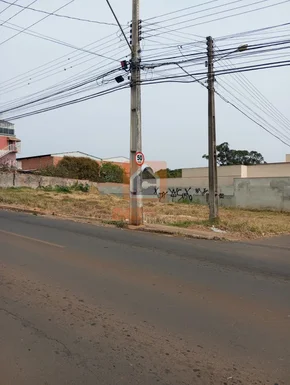 Terreno à Venda Em Uvaranas 