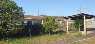 Terreno à Venda Em órfãs