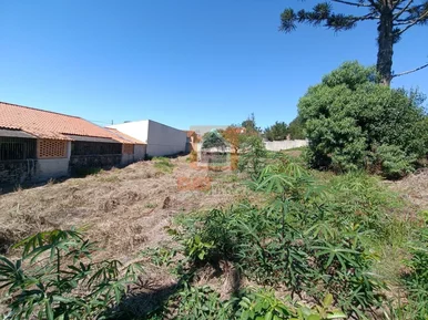 Terreno à Venda Em órfãs Em Promoção