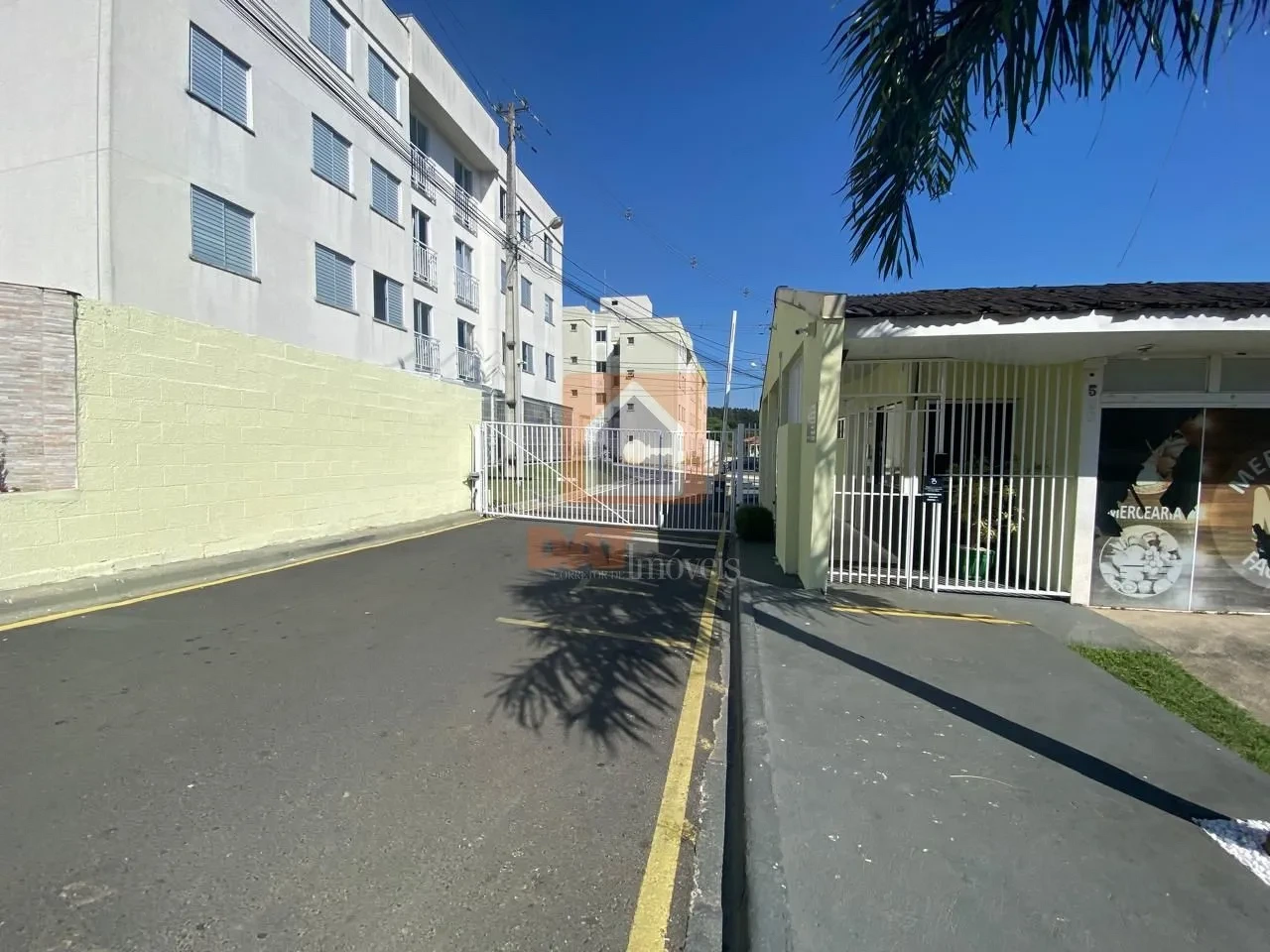 Apartamento Para Locação No Bairro órfãs