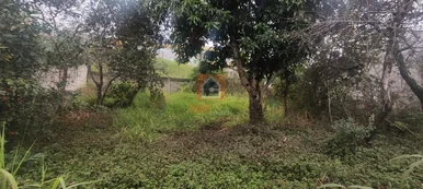 Terreno á Venda Em Olarias