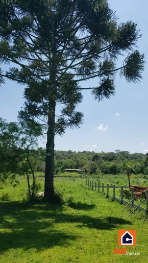 <strong>Chácara à venda em Teixeira Soares</strong>