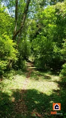 <strong>Chácara à venda em Teixeira Soares</strong>