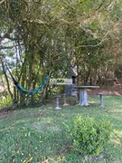 <strong>Chacara  para venda em Catanduva Carambei</strong>