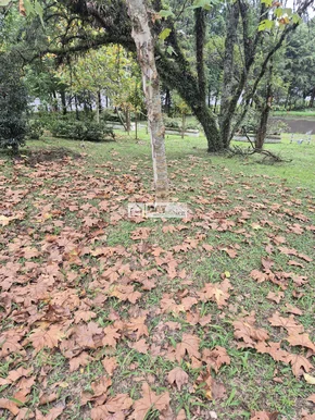 Chácara à Venda Em Piraí Do Sul