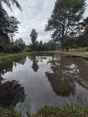 Chácara à Venda Em Piraí Do Sul